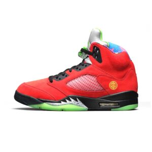 Retro 5 SE ‘What The’