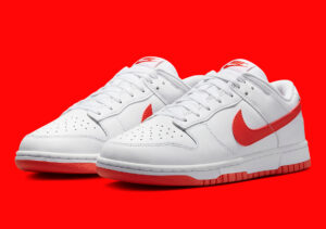 Nike Dunk Low Retro